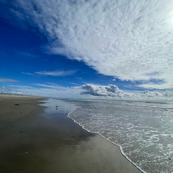 Meet your Posher, Angelica - Picture 1 of 1